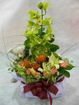 Table arrangement - Deluxe CODE 62975